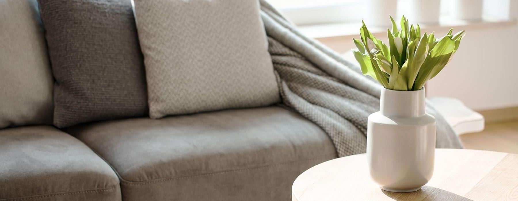 sunlight pours through a large window in furnished living room